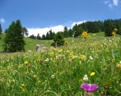 Obermutten, Albula, Graubünden